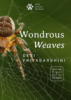 Wondrous Weaves with Devi Priyadarshini