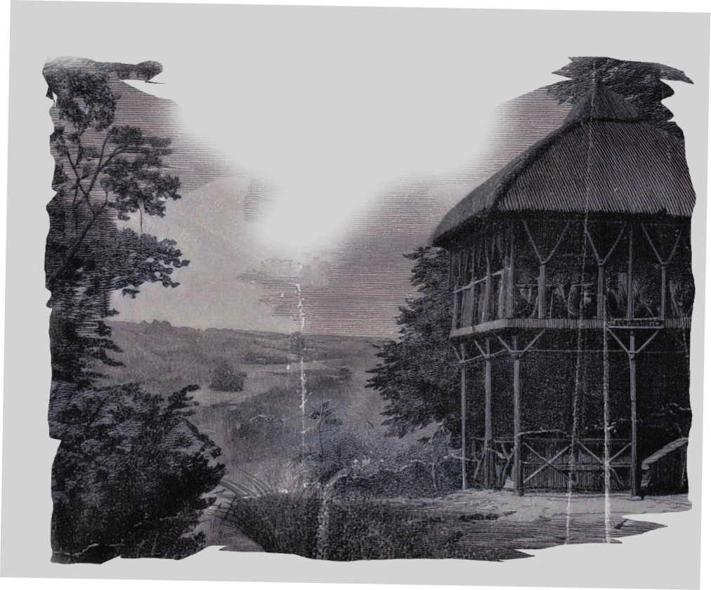 Shelter